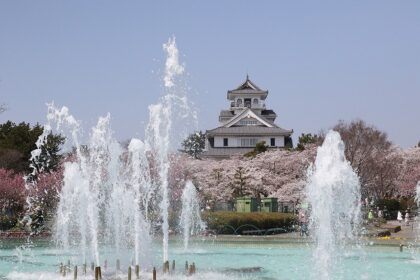 豊公園から長浜城